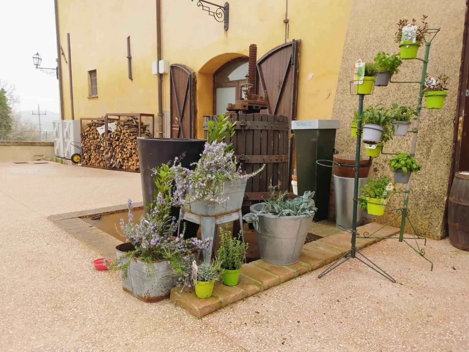 Willa Locanda Di Casigliano Casigliano  Zewnętrze zdjęcie